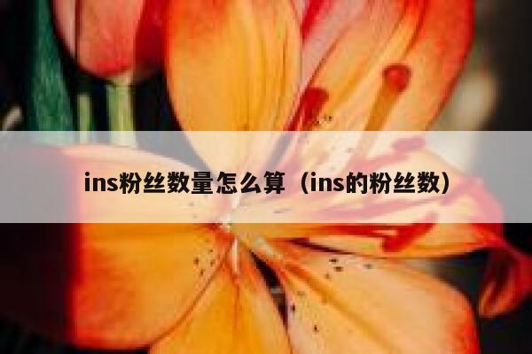 ins粉丝数量怎么算（ins的粉丝数） 第1张