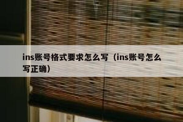 ins账号格式要求怎么写（ins账号怎么写正确） 第1张