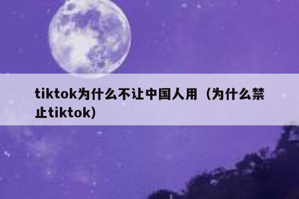 tiktok为什么不让中国人用（为什么禁止tiktok） 第1张