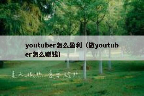 youtuber怎么盈利（做youtuber怎么赚钱） 第1张