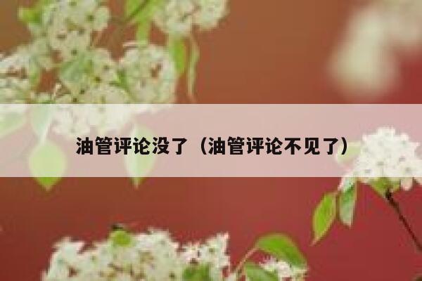 油管评论没了（油管评论不见了） 第1张