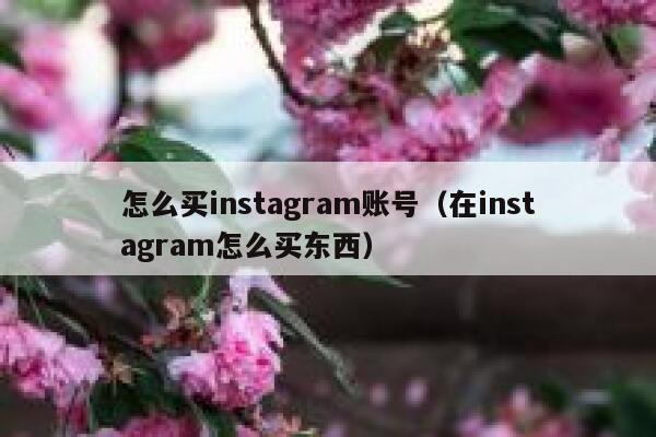 怎么买instagram账号（在instagram怎么买东西） 第1张
