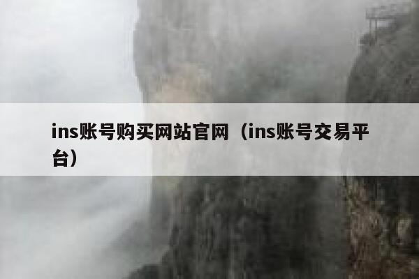 ins账号购买网站官网（ins账号交易平台） 第1张