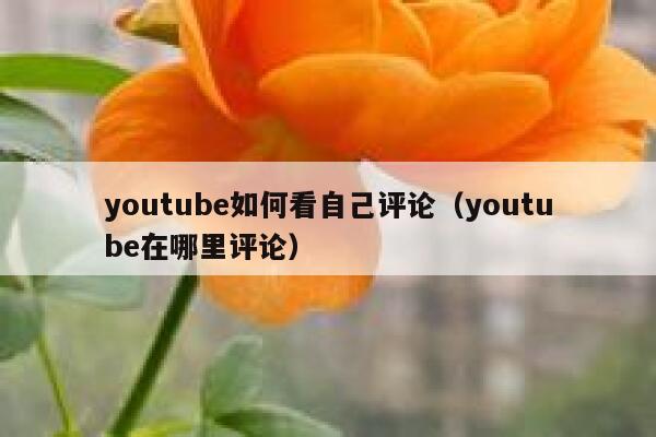 youtube如何看自己评论（youtube在哪里评论） 第1张