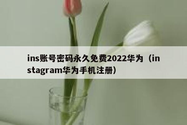 ins账号密码永久免费2022华为（instagram华为手机注册） 第1张