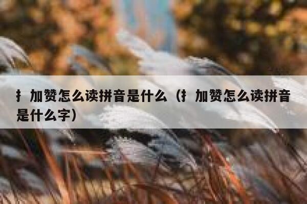 扌加赞怎么读拼音是什么（扌加赞怎么读拼音是什么字） 第1张