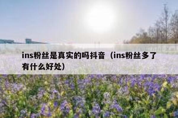 ins粉丝是真实的吗抖音（ins粉丝多了有什么好处） 第1张