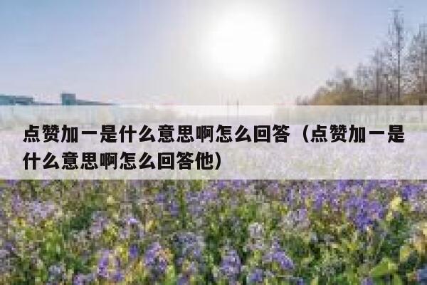 点赞加一是什么意思啊怎么回答(点赞加一是什么意思啊怎么回答他) 第1张 点赞加一是什么意思啊怎么回答(点赞加一是什么意思啊怎么回答他) 第1张
