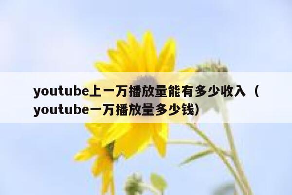 youtube上一万播放量能有多少收入（youtube一万播放量多少钱） 第1张