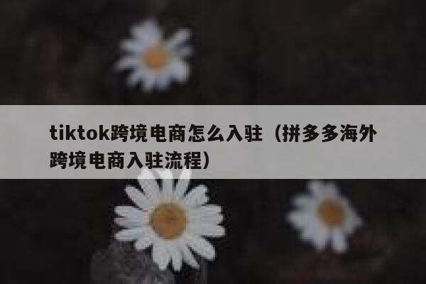 tiktok跨境电商怎么入驻（拼多多海外跨境电商入驻流程） 第1张