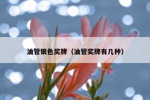 油管银色奖牌（油管奖牌有几种） 第1张
