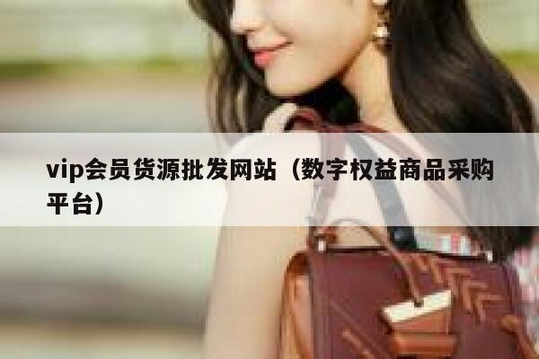 vip会员货源批发网站（数字权益商品采购平台） 第1张