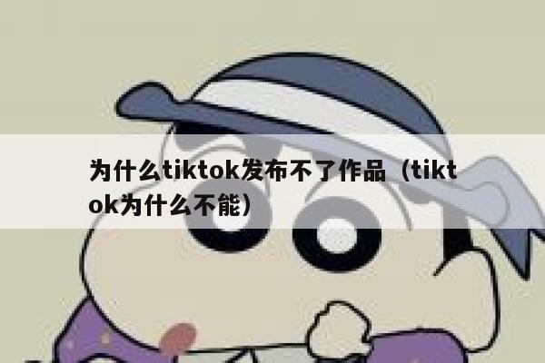 为什么tiktok发布不了作品(tiktok为什么不能) 第1张 为什么tiktok发布不了作品(tiktok为什么不能) 第1张