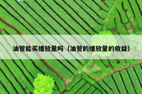 油管能买播放量吗（油管的播放量的收益） 第1张