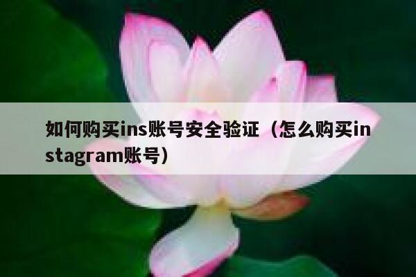 如何购买ins账号安全验证(怎么购买instagram账号) 第1张 如何购买ins账号安全验证(怎么购买instagram账号) 第1张