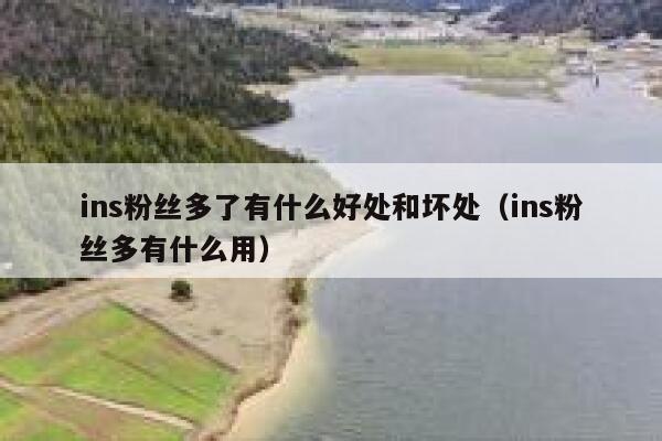 ins粉丝多了有什么好处和坏处（ins粉丝多有什么用） 第1张