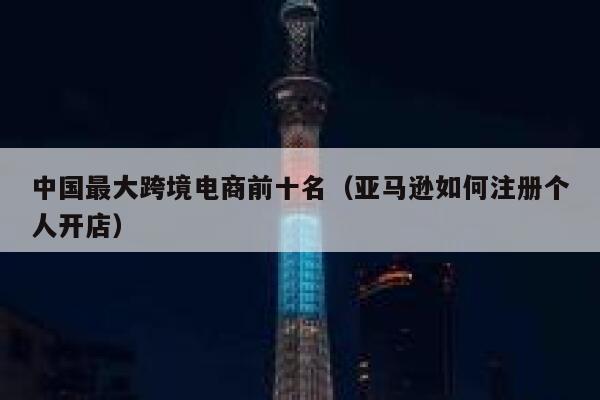 中国最大跨境电商前十名(亚马逊如何注册个人开店) 第1张 中国最大跨境电商前十名(亚马逊如何注册个人开店) 第1张