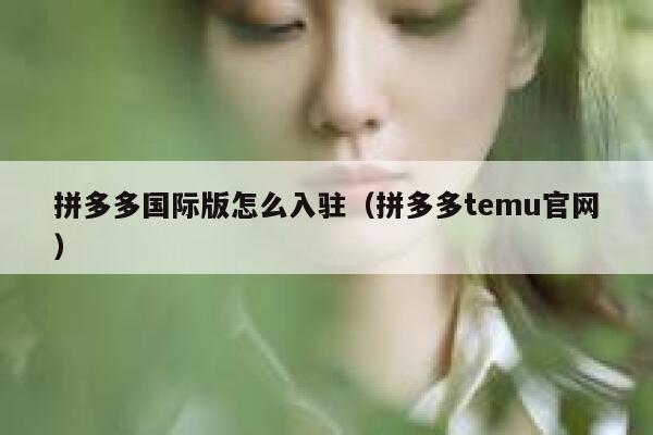 拼多多国际版怎么入驻（拼多多temu官网） 第1张