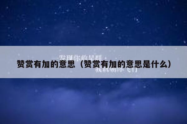 赞赏有加的意思（赞赏有加的意思是什么） 第1张