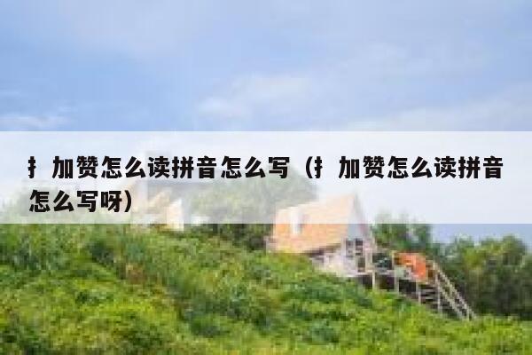 扌加赞怎么读拼音怎么写（扌加赞怎么读拼音怎么写呀） 第1张