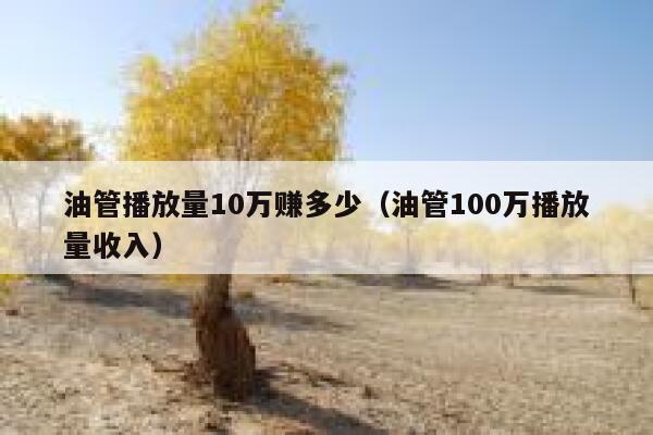 油管播放量10万赚多少（油管100万播放量收入） 第1张