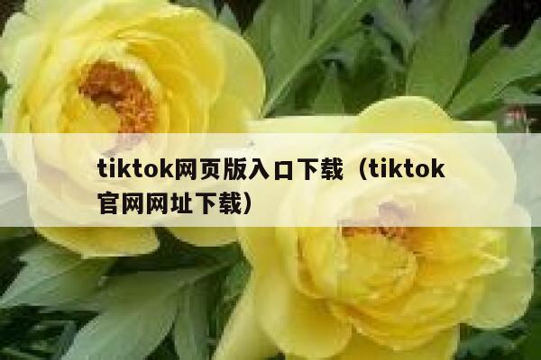 tiktok网页版入口下载（tiktok官网网址下载） 第1张