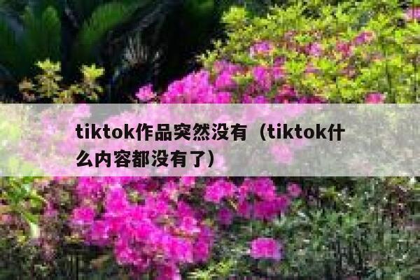 tiktok作品突然没有(tiktok什么内容都没有了) 第1张 tiktok作品突然没有(tiktok什么内容都没有了) 第1张