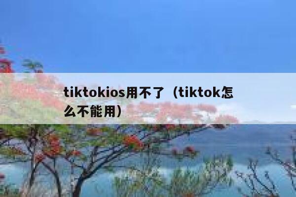 tiktokios用不了（tiktok怎么不能用） 第1张