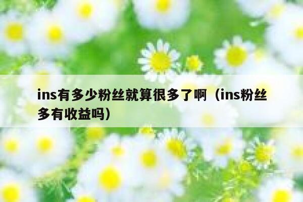 ins有多少粉丝就算很多了啊(ins粉丝多有收益吗) 第1张 ins有多少粉丝就算很多了啊(ins粉丝多有收益吗) 第1张