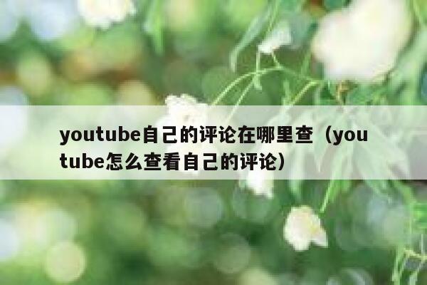 youtube自己的评论在哪里查（youtube怎么查看自己的评论） 第1张