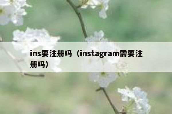 ins要注册吗（instagram需要注册吗） 第1张
