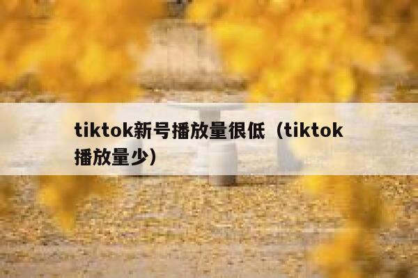 tiktok新号播放量很低(tiktok播放量少) 第1张 tiktok新号播放量很低(tiktok播放量少) 第1张