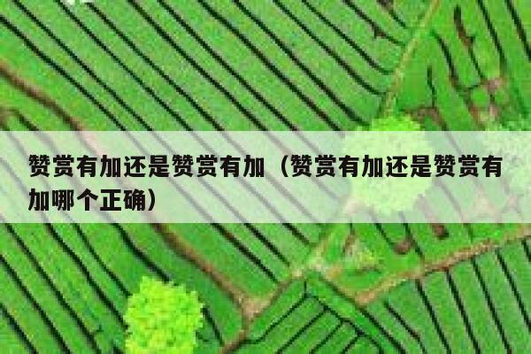 赞赏有加还是赞赏有加（赞赏有加还是赞赏有加哪个正确） 第1张