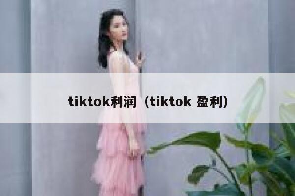 tiktok利润（tiktok 盈利） 第1张