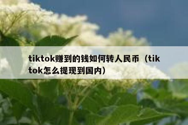 tiktok赚到的钱如何转人民币（tiktok怎么提现到国内） 第1张