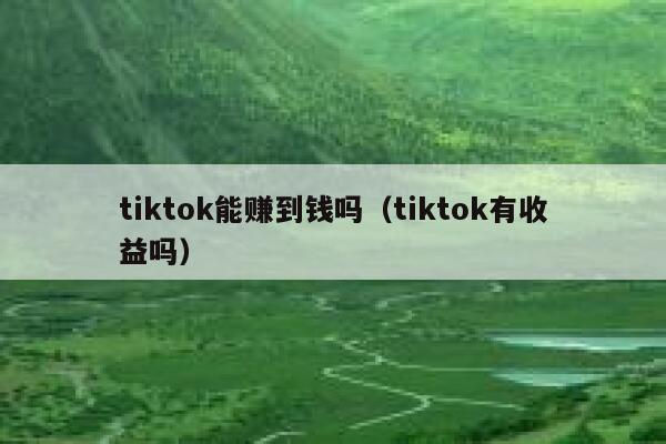 tiktok能赚到钱吗（tiktok有收益吗） 第1张