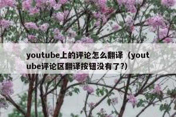 youtube上的评论怎么翻译（youtube评论区翻译按钮没有了?） 第1张