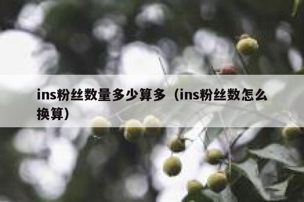 ins粉丝数量多少算多（ins粉丝数怎么换算） 第1张