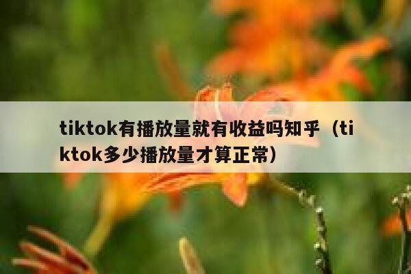 tiktok有播放量就有收益吗知乎（tiktok多少播放量才算正常） 第1张