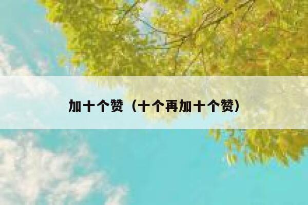 加十个赞（十个再加十个赞） 第1张