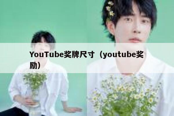 YouTube奖牌尺寸(youtube奖励) 第1张 YouTube奖牌尺寸(youtube奖励) 第1张
