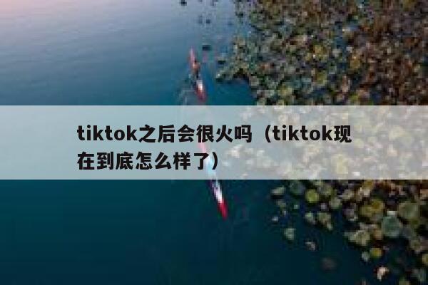 tiktok之后会很火吗(tiktok现在到底怎么样了) 第1张 tiktok之后会很火吗(tiktok现在到底怎么样了) 第1张