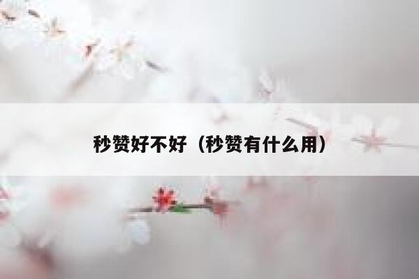 秒赞好不好（秒赞有什么用） 第1张