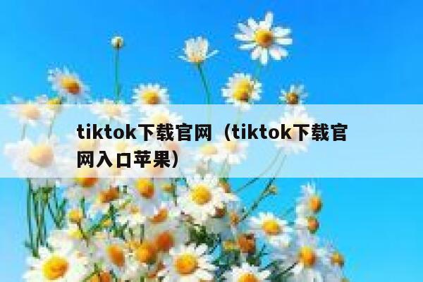 tiktok下载官网（tiktok下载官网入口苹果） 第1张