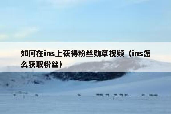 如何在ins上获得粉丝勋章视频（ins怎么获取粉丝） 第1张