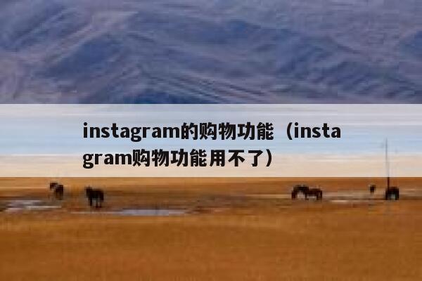 instagram的购物功能（instagram购物功能用不了） 第1张