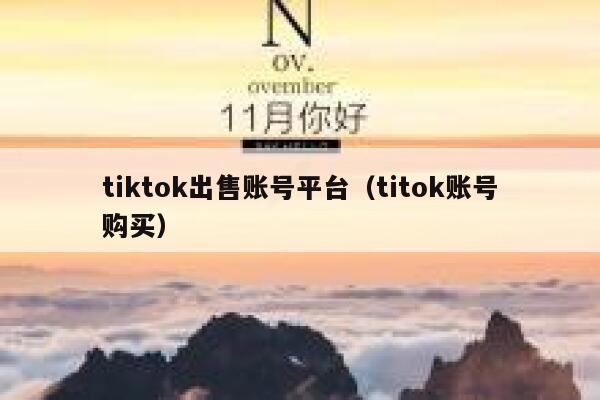 tiktok出售账号平台（titok账号购买） 第1张