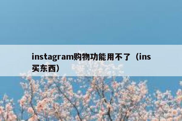 instagram购物功能用不了（ins买东西） 第1张