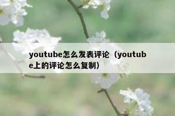 youtube怎么发表评论（youtube上的评论怎么复制） 第1张