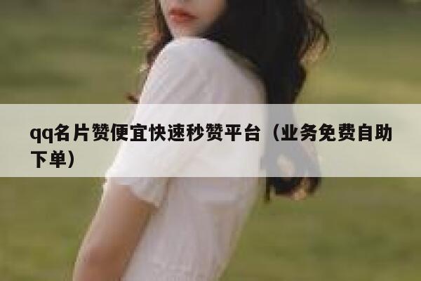 qq名片赞便宜快速秒赞平台（业务免费自助下单） 第1张
